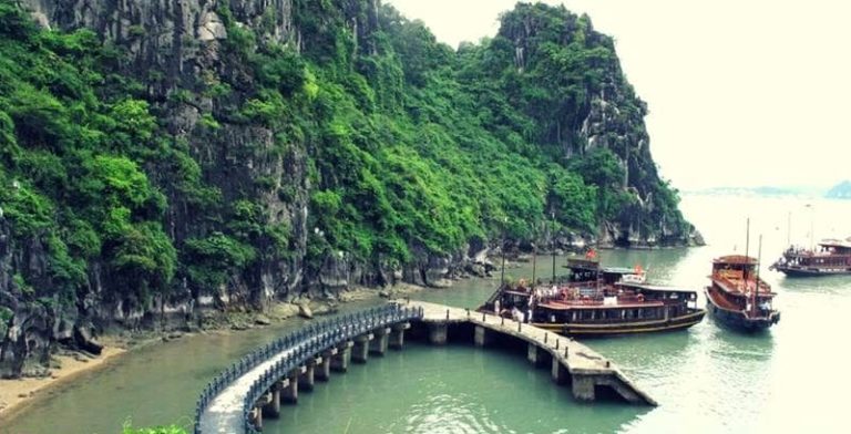 Đảo Đầu Gỗ – Tuyệt tác thiên nhiên giữa lòng di sản Hạ Long